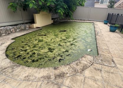 Bridgeman Downs 1 15