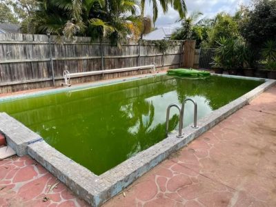 Holland Park BEFORE 22